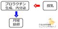 2013年5月14日 (火) 17:28時点における版のサムネイル