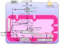 2014年4月2日 (水) 16:55時点における版のサムネイル