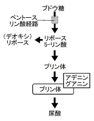 01871.jpg