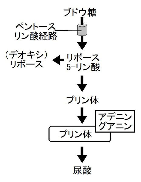 ファイル:01871.jpg