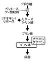 01871.jpg
