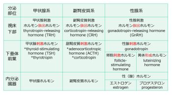 3層構造名称E、P含む.jpg