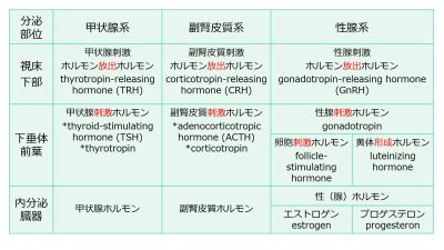 3層構造名称E、P含む.jpg