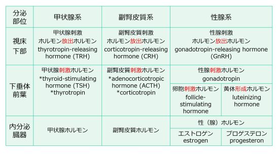3層構造名称E、P含む.jpg