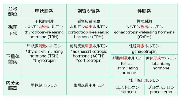 3層構造名称E、P含む.jpg