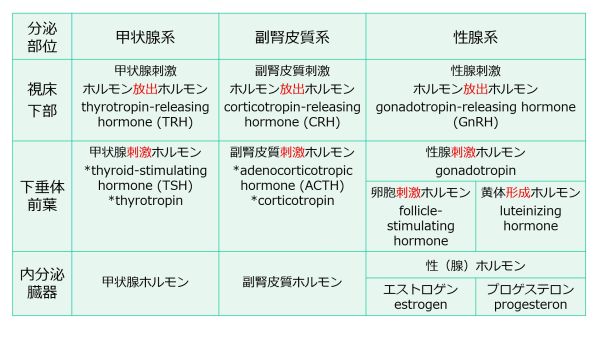 3層構造名称E、P含む.jpg