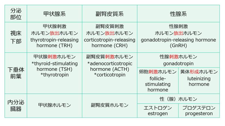 3層構造名称E、P含む.jpg