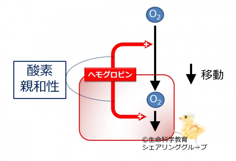 ファイル:03896.jpg