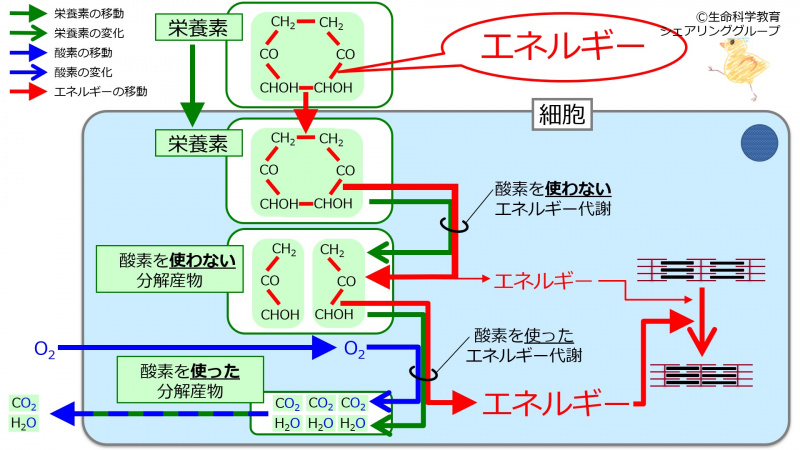 ファイル:04730.jpg