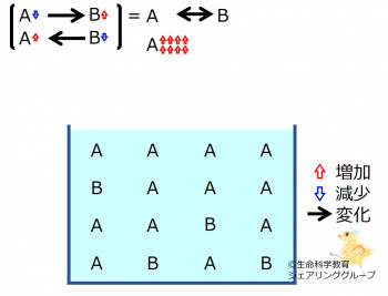 ChemicalEquilibriumChangesByIncInMolA-2.jpg