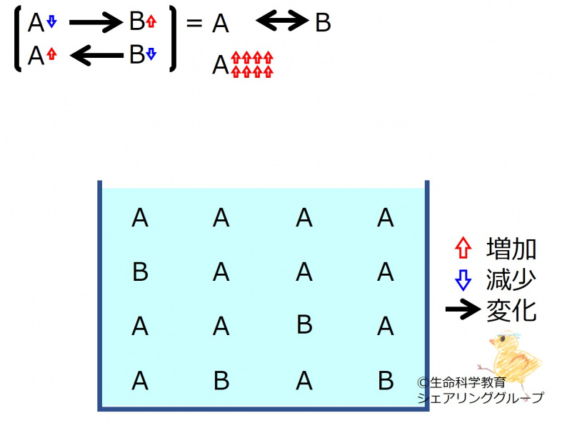 ファイル:ChemicalEquilibriumChangesByIncInMolA-2.jpg