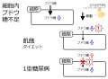 2016年7月12日 (火) 17:37時点における版のサムネイル