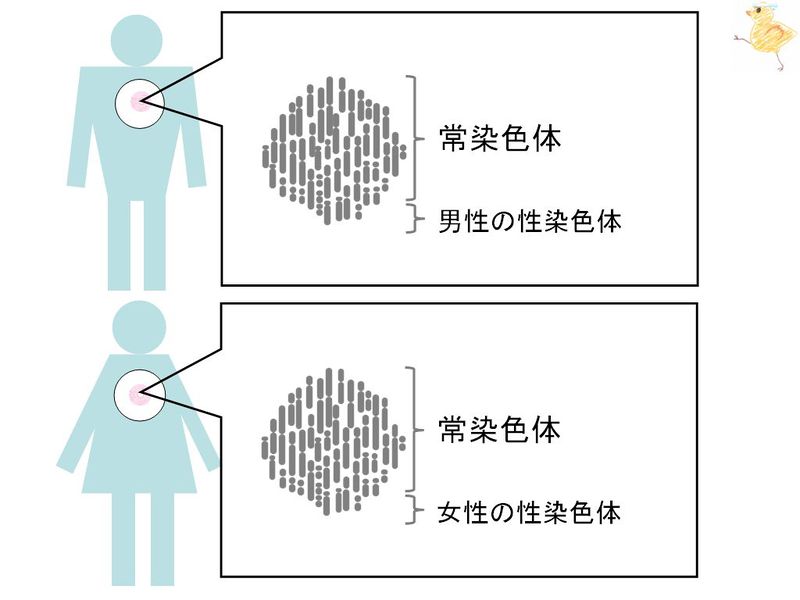 ファイル:01658.jpg