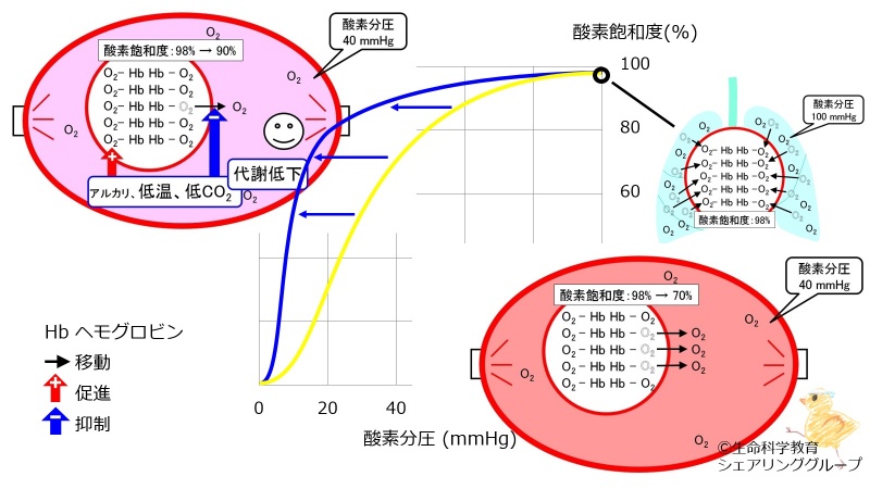 ファイル:03310.jpg