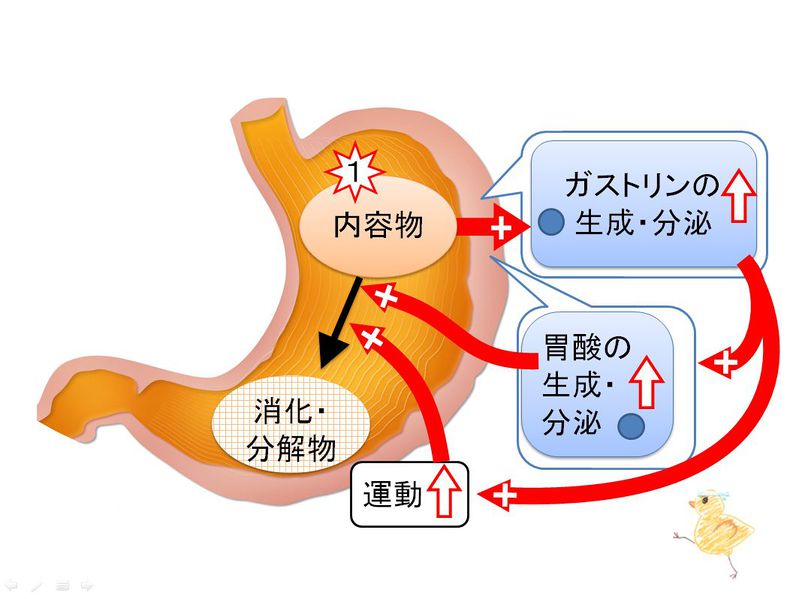ファイル:03415.jpg