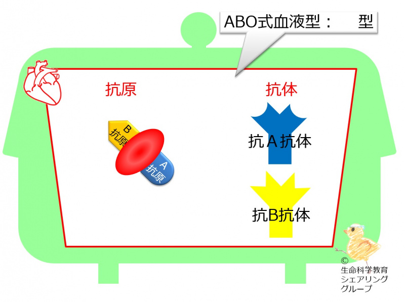 ファイル:04552-wb.jpg