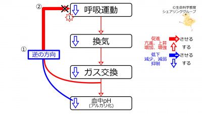 /wiki/images/thumb/5/5c/DecVentilationPhWithFeedback.jpg/400px-DecVentilationPhWithFeedback.jpg