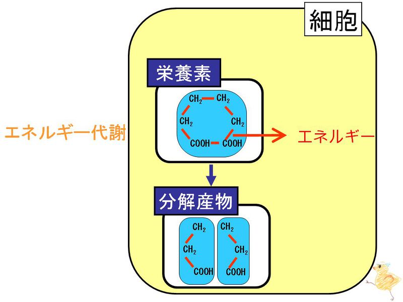 ファイル:01310.jpg
