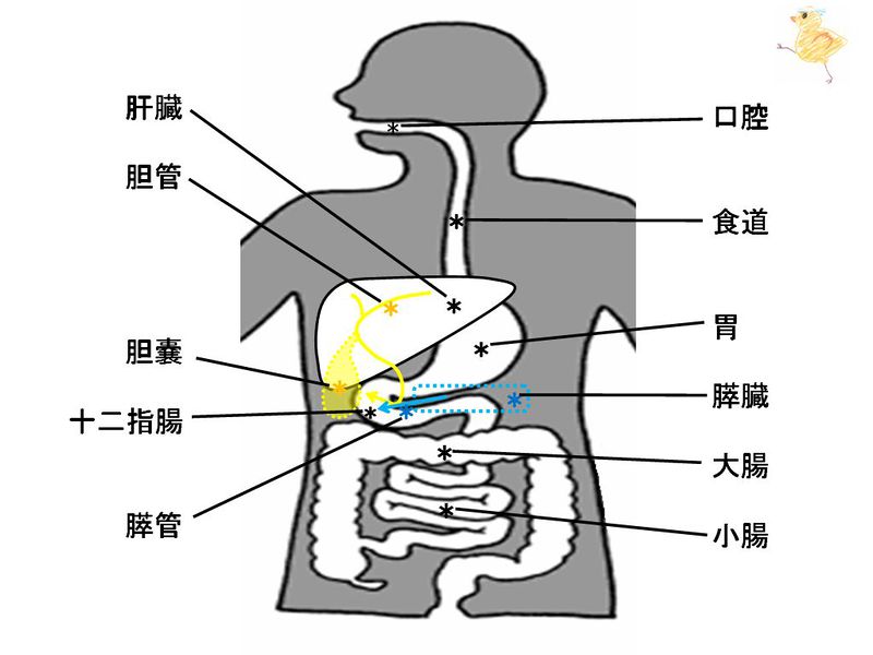 ファイル:01528.jpg