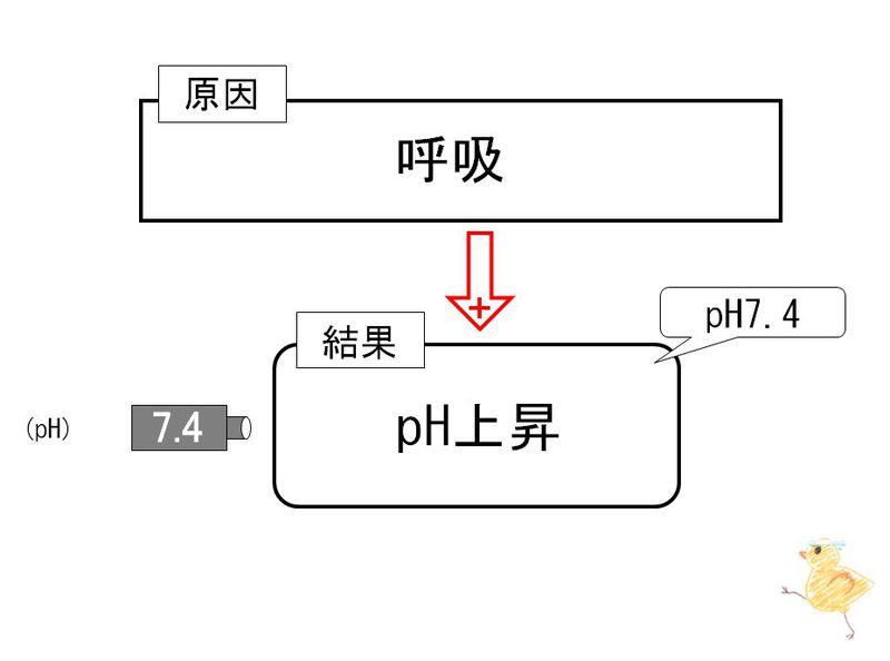 ファイル:02246.jpg