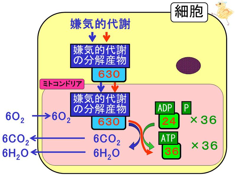 ファイル:03514.jpg