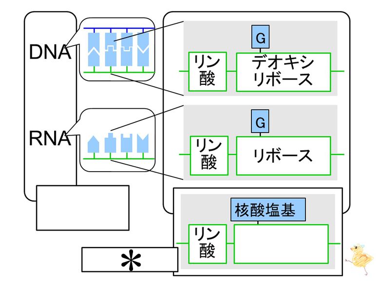 ファイル:04137.jpg