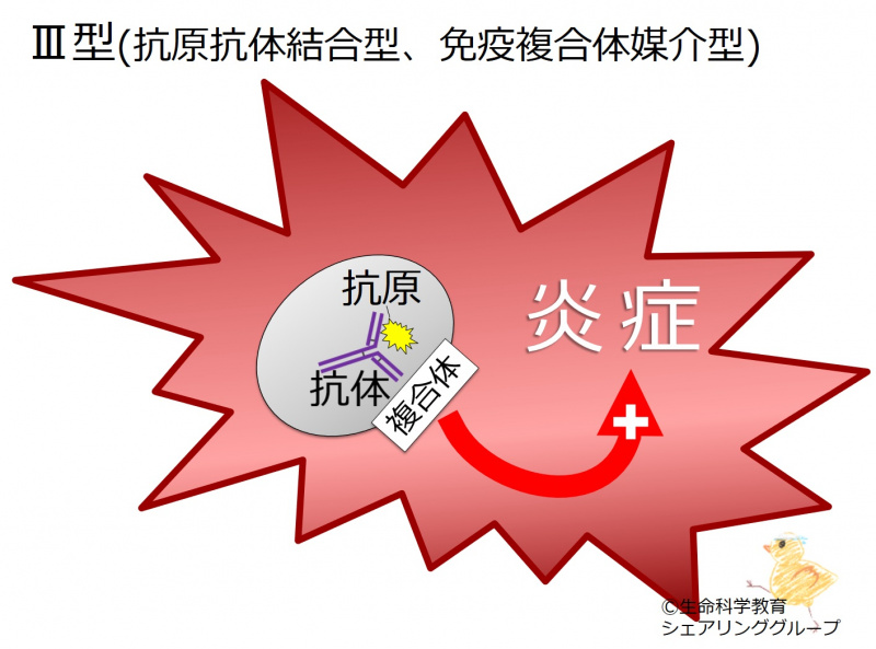 ファイル:04281.jpg