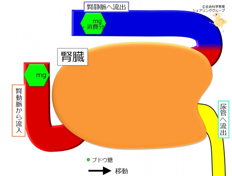 ファイル:04331-wb.jpg