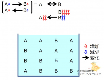 ChemicalEquilibriumChangesByIncInMolB-3.jpg