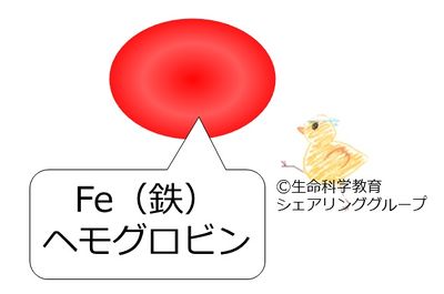 鉄.jpg