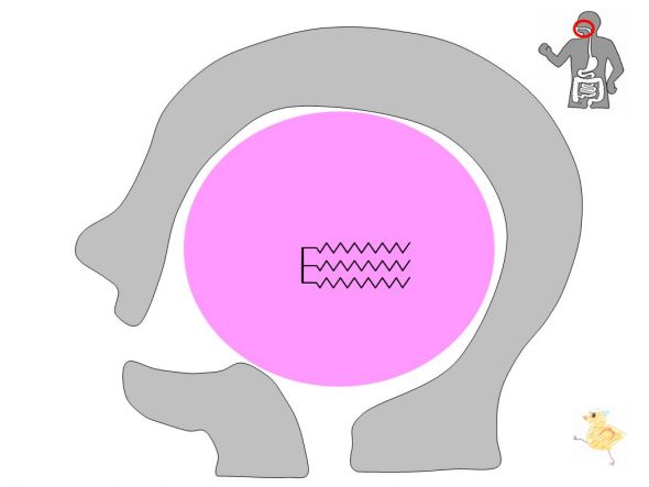 /wiki/images/thumb/5/5e/01423.jpg/590px-01423.jpg