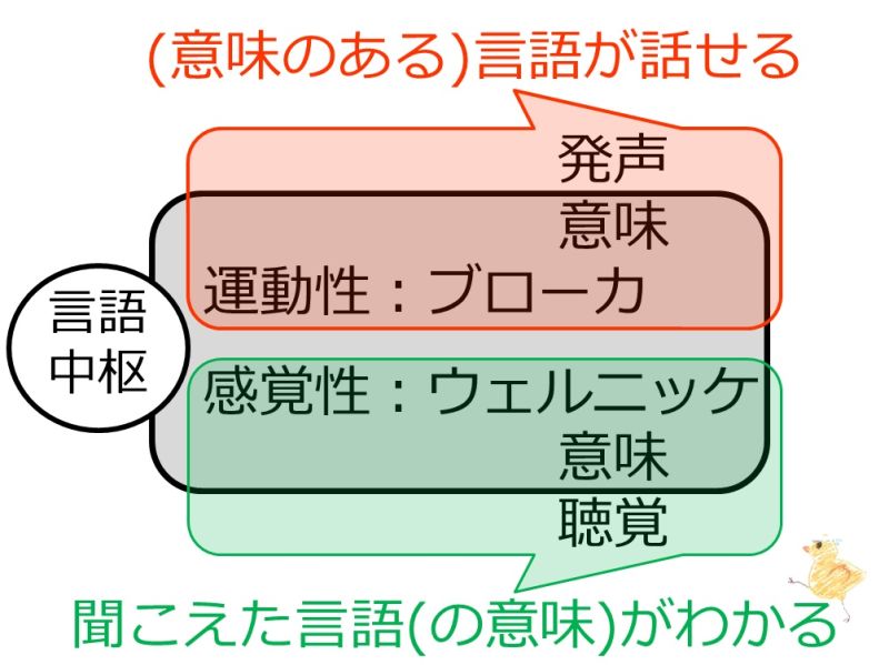 ファイル:04360.jpg