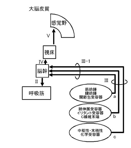 ファイル:01292.jpg