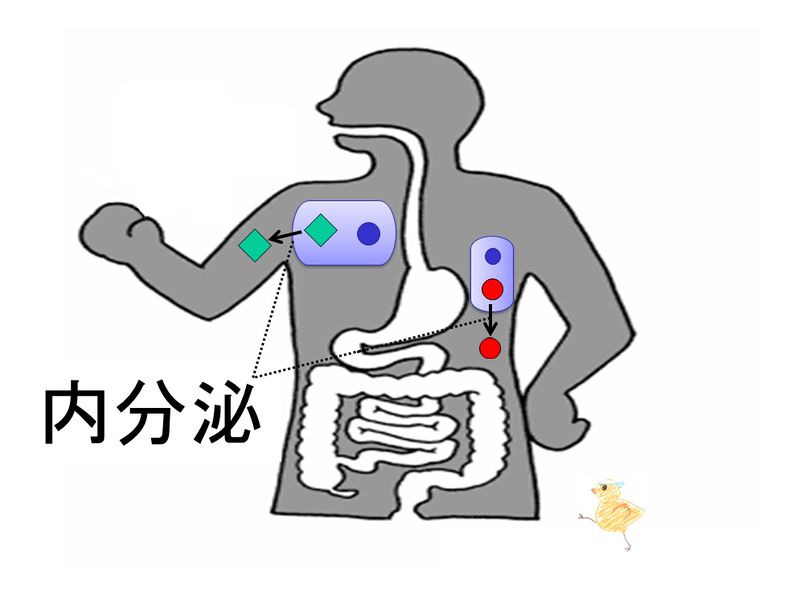 ファイル:03460.jpg