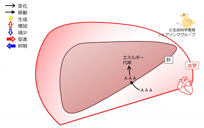 ファイル:03874-wb.jpg