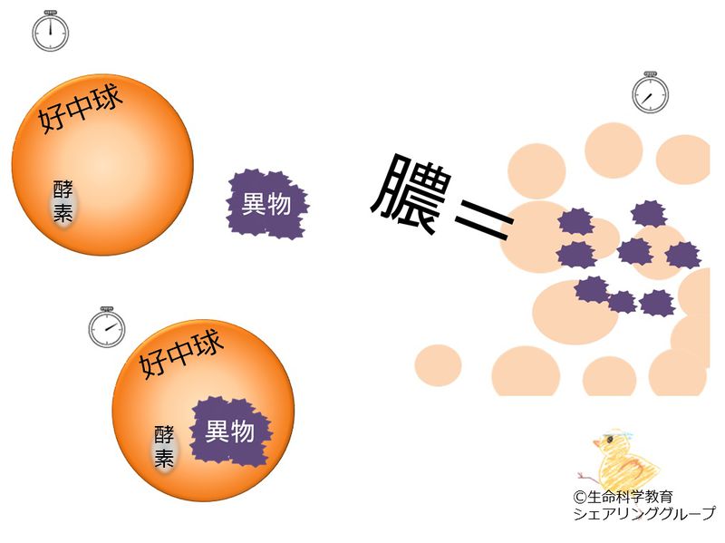 ファイル:04708.jpg