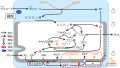 2025年2月14日 (金) 09:12時点における版のサムネイル
