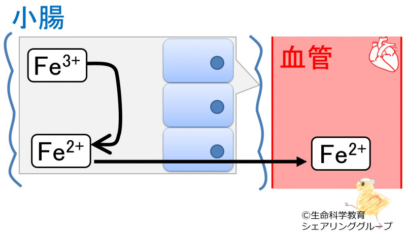 ファイル:03395.jpg