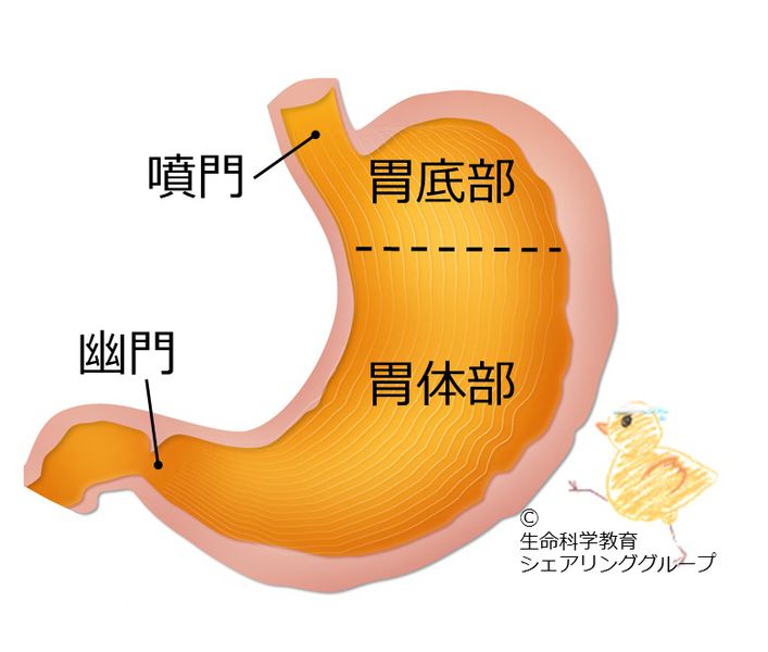 ファイル:04573.jpg