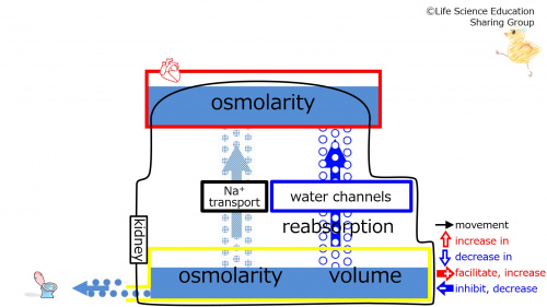 WaterChannelsBaseLine-Eng.jpg