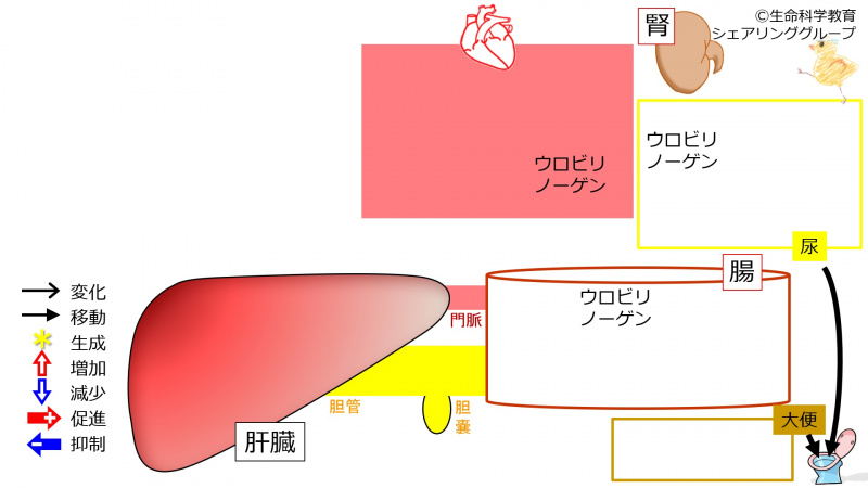 ファイル:01141-wb.jpg