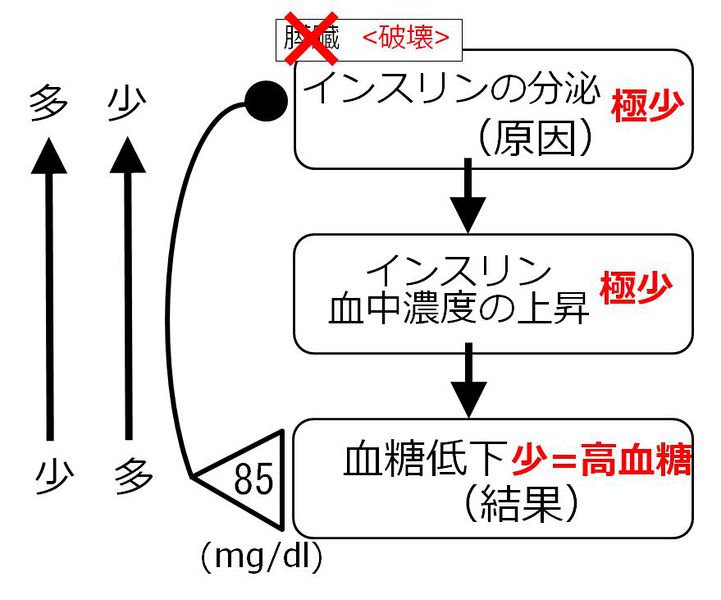 ファイル:01416.jpg