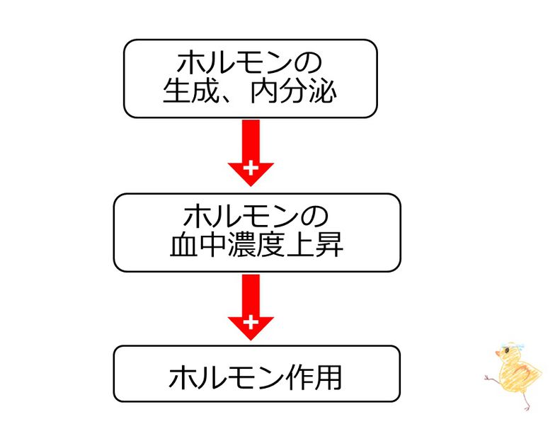 ファイル:03772.jpg