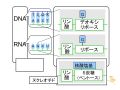 2024年7月27日 (土) 19:00時点における版のサムネイル