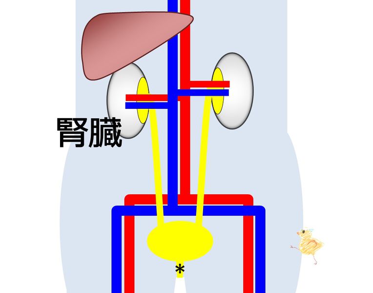 ファイル:04076.jpg