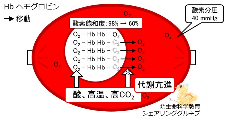 ファイル:04143.jpg