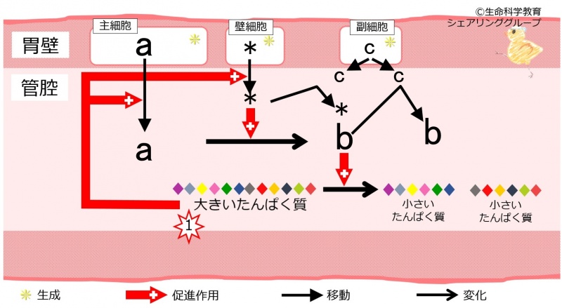 ファイル:04558.jpg