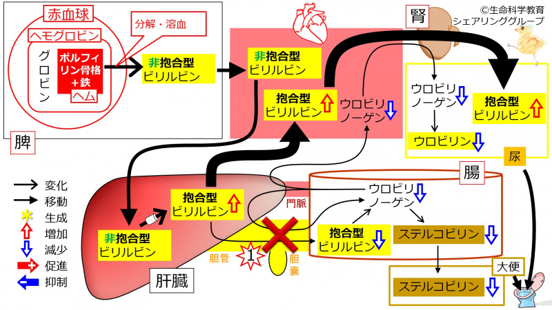 ファイル:01300.jpg
