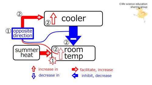 CoolerSummerAfterFeedback-Eng.jpg