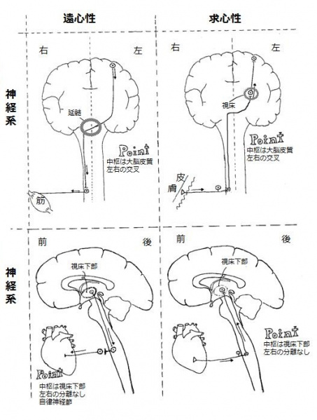 ファイル:00227-wb.jpg